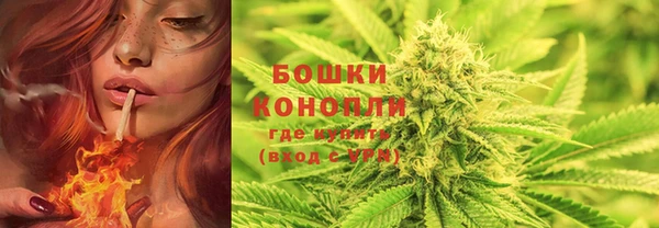 гидропоника Белоозёрский